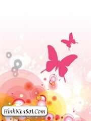 Hình nền bướm và hoa